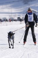 Lenk 2013